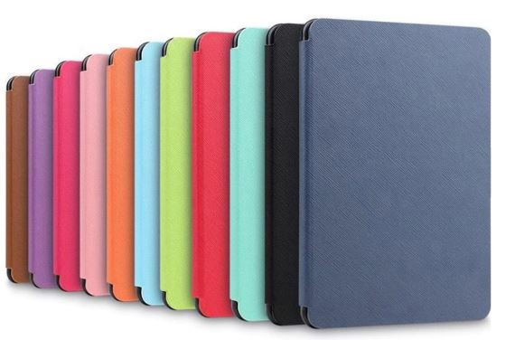 Paperwhite case