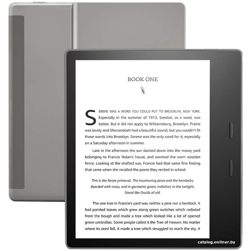 Amazon Kindle Oasis 10 (32Гб, Graphite)
